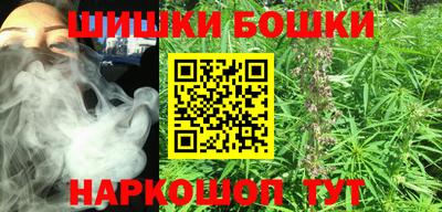 стаф Пенза