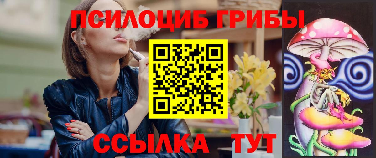 Галлюциногенные грибы Psilocybe Заинск