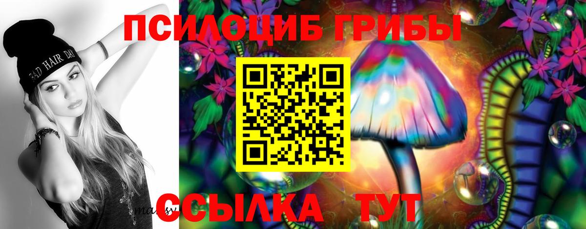 Псилоцибиновые грибы мухоморы  Вход с VPN  Псилоцибиновые грибы Magic Shrooms  Заинск 